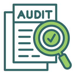 Audit Execution