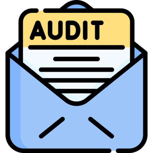 Regular Security Audits and Reviews