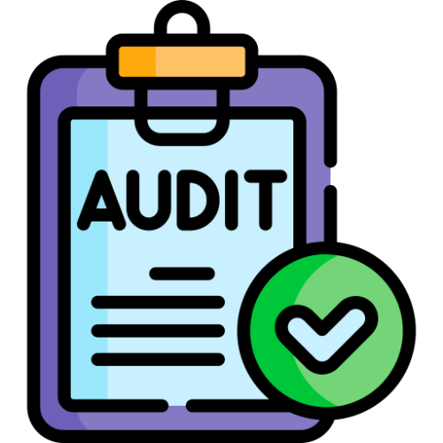 Regular Audits and Assessments