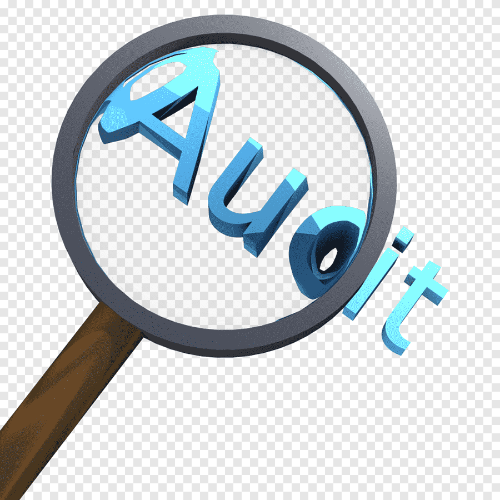 On-Site Audit Services