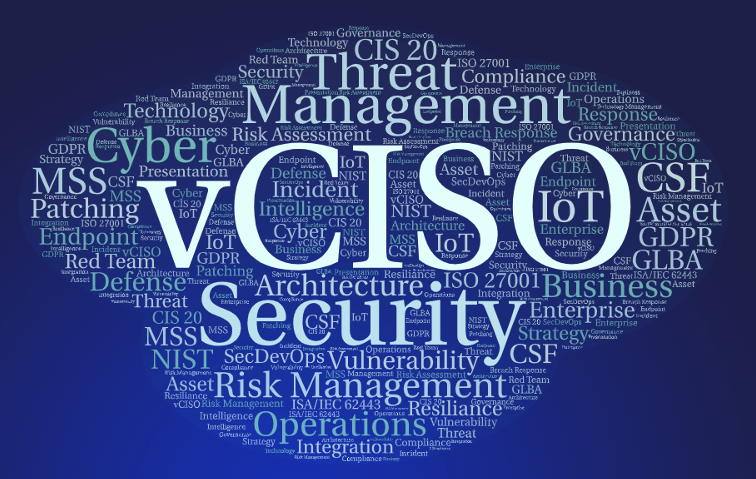 Virtual Chief Information Security Officer (V-CISO) - Cover Image"