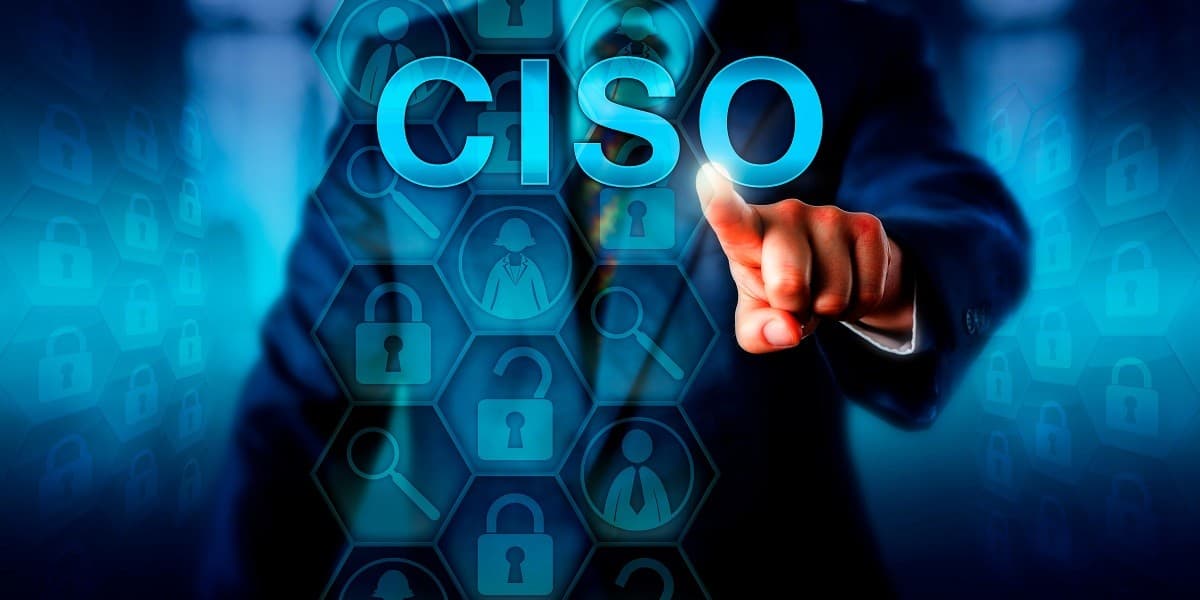 Overview of Virtual Chief Information Security Officer