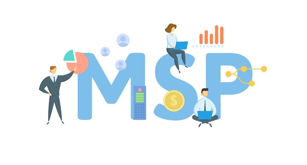 Managed Service Providers (MSPs)