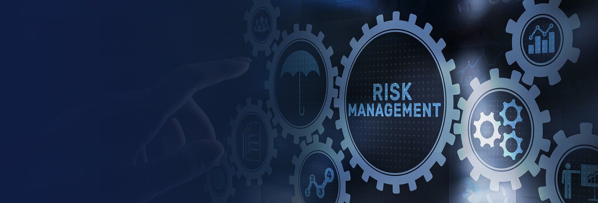 IT Risk Management - Cover Image"