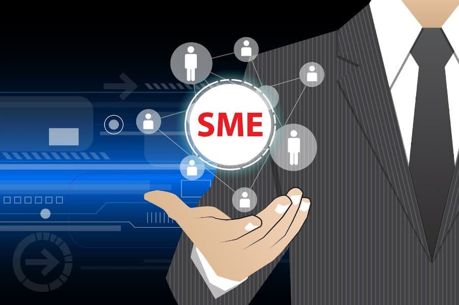 Small to Medium-sized Enterprises (SMEs)