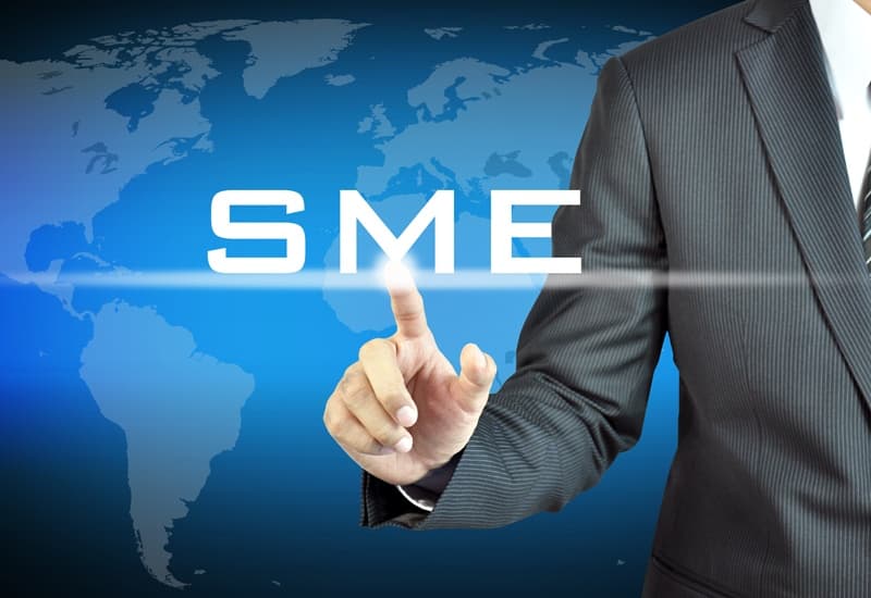 Small to Medium-sized Enterprises (SMEs) 